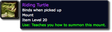 Riding Turtle Mount