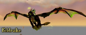 Feldrake